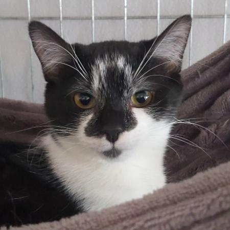 Photo de Peluche/Marlon